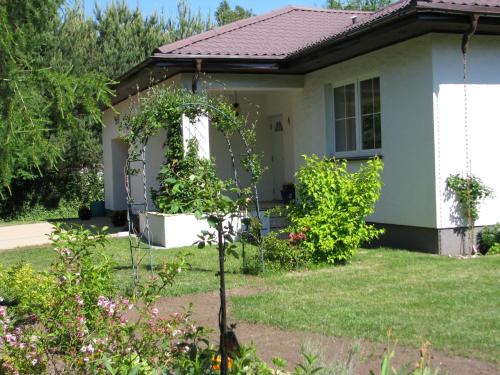 Biała Przystań, Sasino (foto 2)