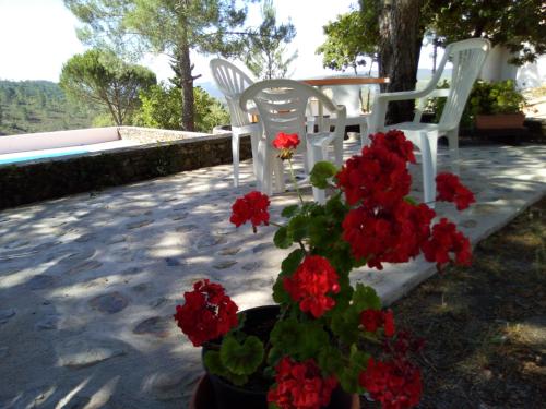 Terraza/balcón, Quinta Das Lameirinhas in Marvao