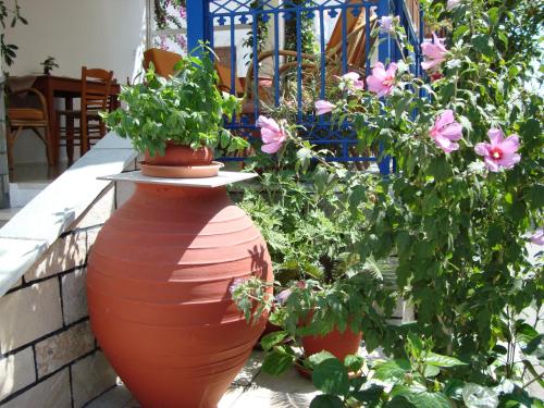 Vakhos – Naxos City, UT