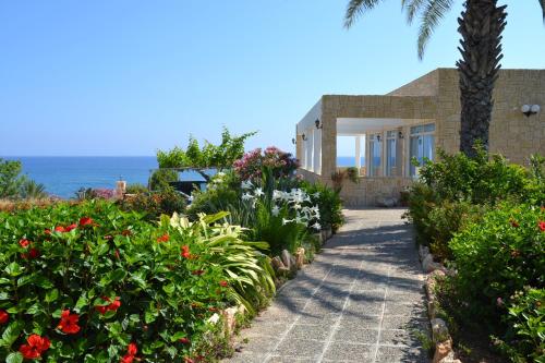 Aphrodite Beach Hotel - image 7