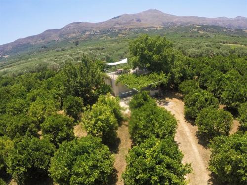  KaliVie Bio Farm & Retreat, Moírai