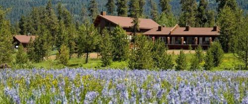 Bear Creek Lodge Mccall Adams Idaho Price Address Reviews