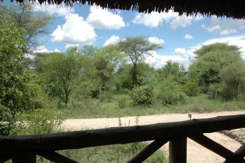 Roika Tarangire Tented Lodge