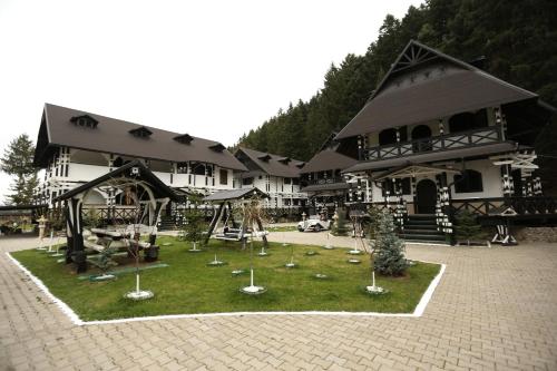 Complex Lions Bucovina - image 11