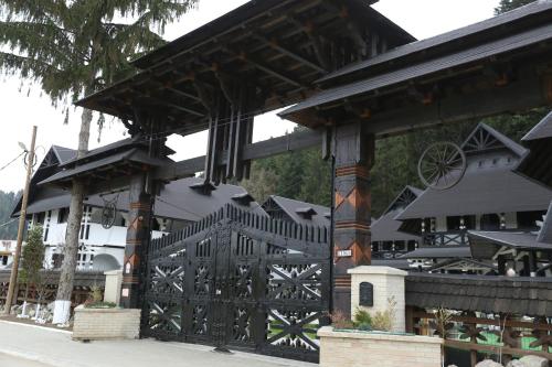Complex Lions Bucovina - image 7
