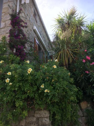 Maison de Vacances - Casa Mezanaccia avec Terrasse fleurie meublé tourisme 3 étoiles