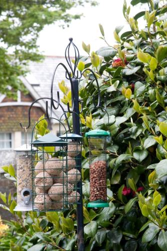 Lyonesse Guest House - image 2