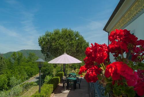 Gli Ulivi di Montalbano - Agriturismo