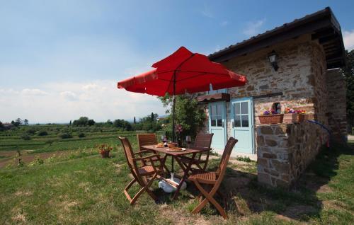 Casali del Picchio - Winery 5