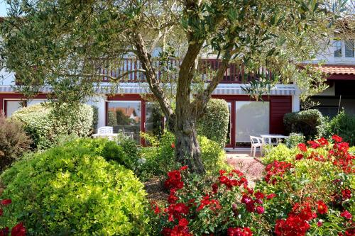 Hotel & Appartements Gochoki – Bidart, MO