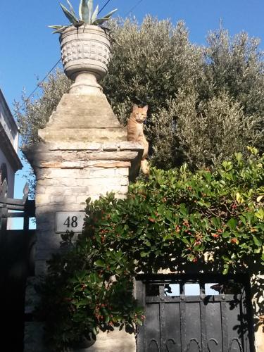 D'AGO48 – Ancona, IL