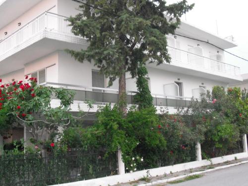 Aris House - image 5