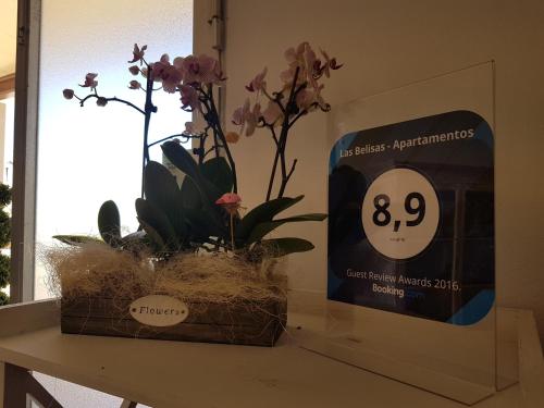 Las Belisas - Apartamentos - image 8