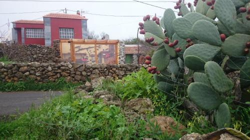 Casa Elvira - main image