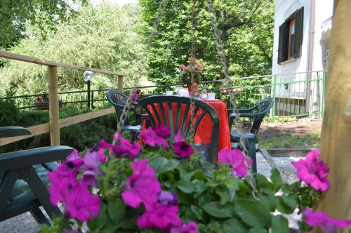  Casa Vacanze nel Castagneto, Pension in Perledo