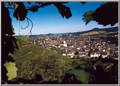 Hotel Rhein INN - image 7