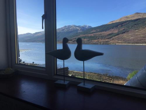 Attic Apartment - image 8