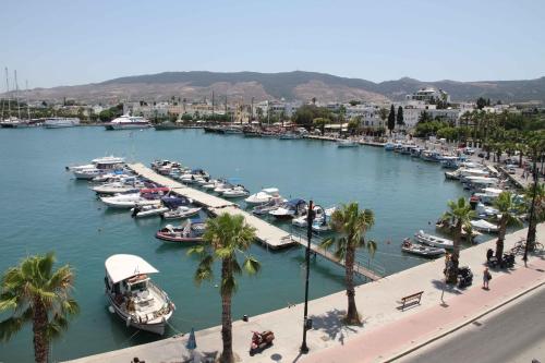 Astron Hotel – Kos Town, AZ