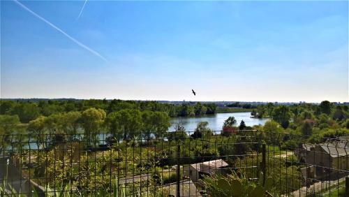 Le Gite de la Loire - Location saisonnière - Rochecorbon