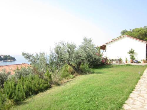 Kolios View 4