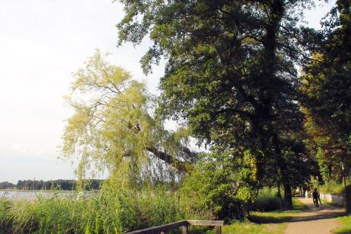 Keramik Hotel Rheinsberg - image 11