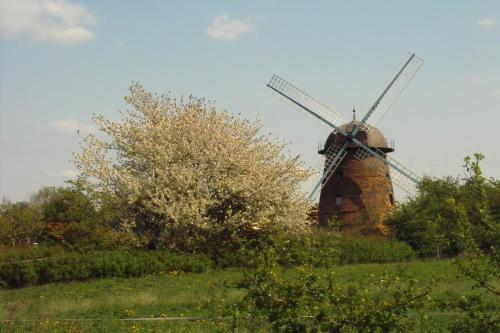 Keramik Hotel Rheinsberg - image 13