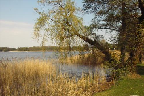 Keramik Hotel Rheinsberg