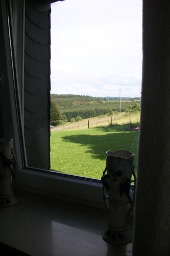 FILD - Holiday Apartment, Saint-Vith (foto 10)