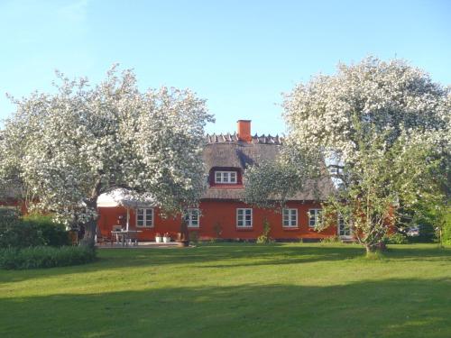  SoegaardensBB, Pension in Stenløse bei Farum