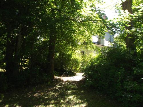 VILLA ESPERANZA Suite de plain-pied, indépendante, 1 à 4 personnes proche Zoo de Beauval et châteaux de La Loire