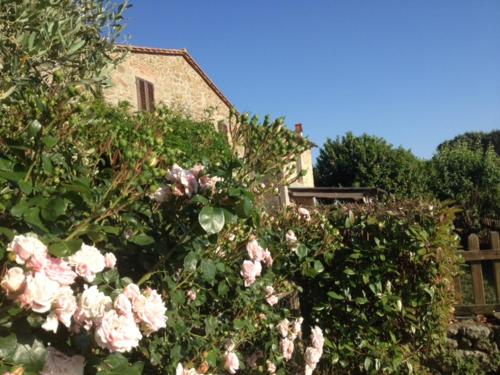 Casa Vacanze "Sereno"