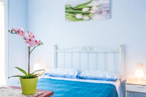 Residence Kimba Room Type - Apartment with Balcony