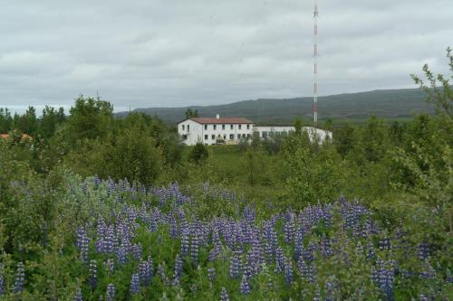 Eidavellir Apartments and Rooms