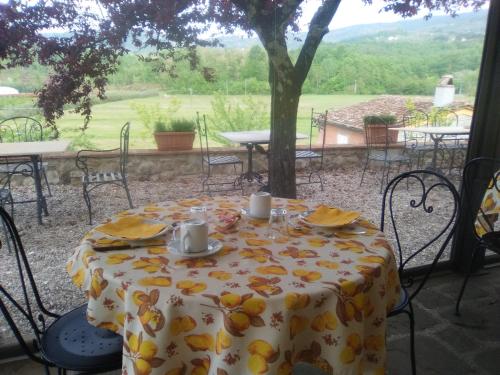 Amedea Tuscany Country Experience - image 2