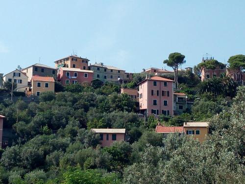 Villino "Il Rustichetto"