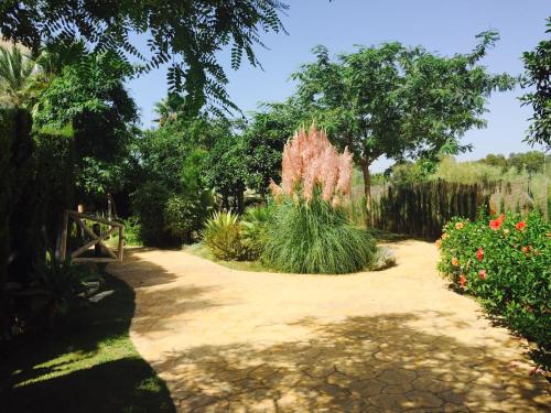 Laduana LaCarmen & LaPepa - image 14