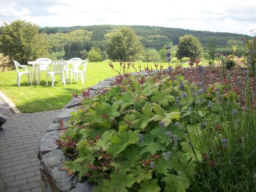 FILD - Holiday Apartment, Saint-Vith (foto 4)