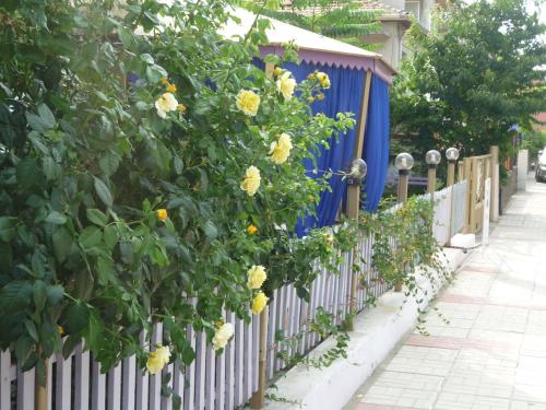 Garden, Hotel Strajica in Lozenets
