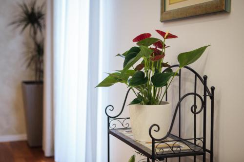 Luxury Apartment Luce, Split (foto 7)
