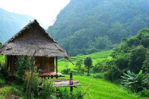 B&B Ban Mae Pan Noi - KowitFarmstay - Bed and Breakfast Ban Mae Pan Noi