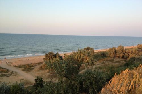 Barin - image 12