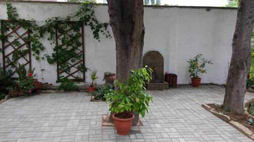 Family Hotel Asai - image 4