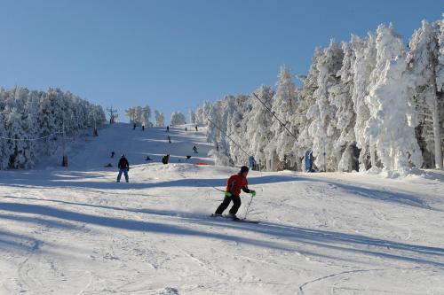 La Massana