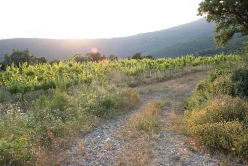 Can Rovira de Fogars - Montseny