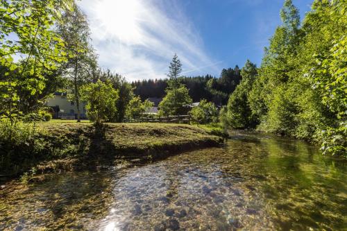 Dārzs, Konrad-Haus - DorfResort Mitterbach in Mitterbach Am Erlaufsee