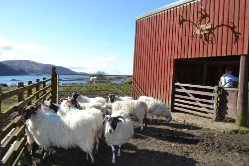 Oban Seil Farm The Bothy