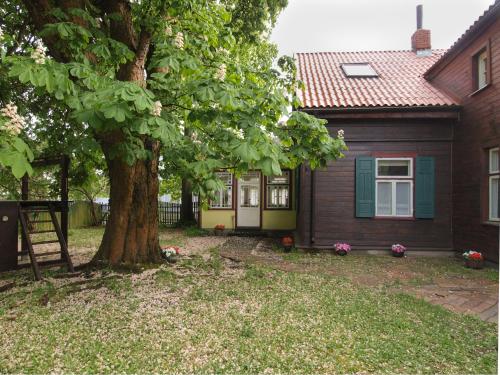 Ezera Maja - main image