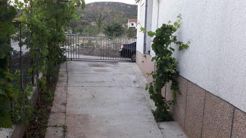 Apartment Branko - image 10