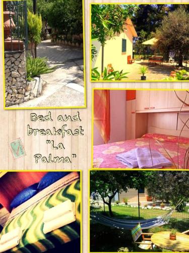 B&B La Palma - Accommodation - Petacciato