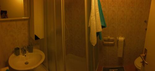 Apartment Branka 4